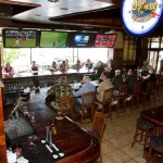 IMG_4374 IMG_4374
